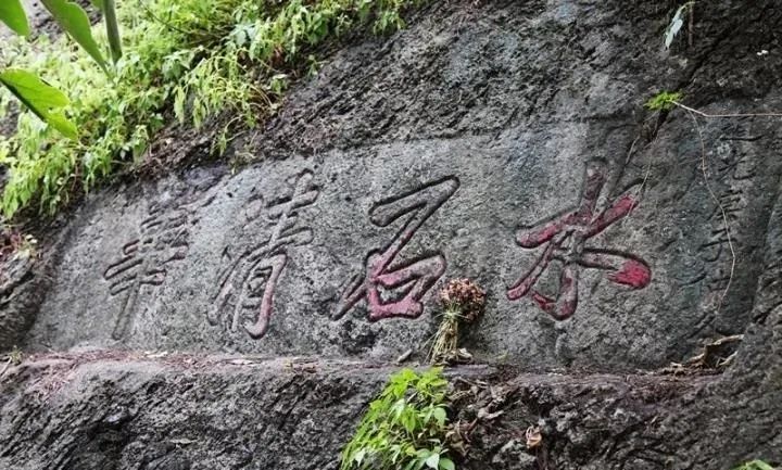 云品出滇入鲁,云品出滇简介