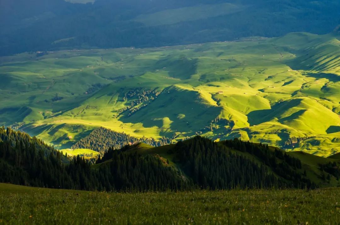 散文丨劳罕：最是*疆新**看不够