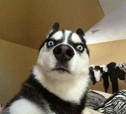 打蛇为什么要七寸，把头打烂没毒牙，还不够安全吗？