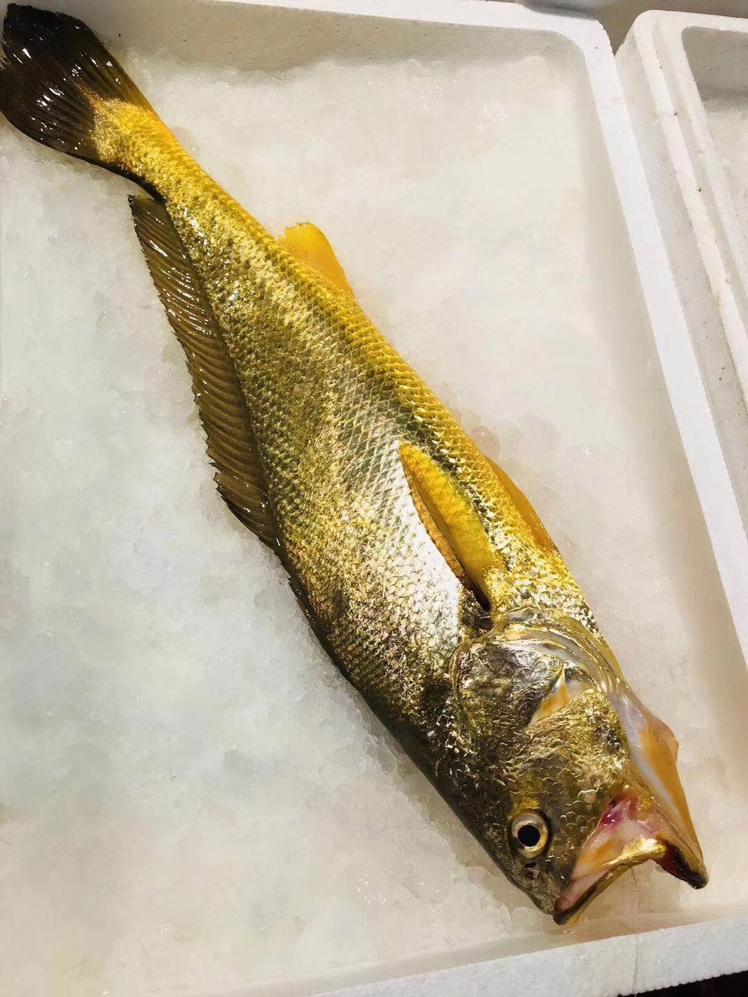 东海海鲜美食大全,家乡特色海鲜美食