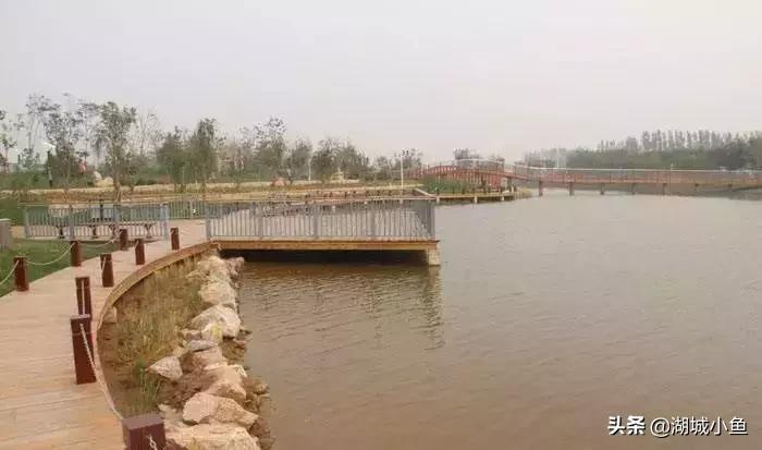 我叫枣强!这是我的最新简历