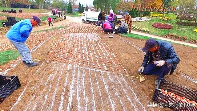 值得参观的国内优秀花园之品鉴（上篇）