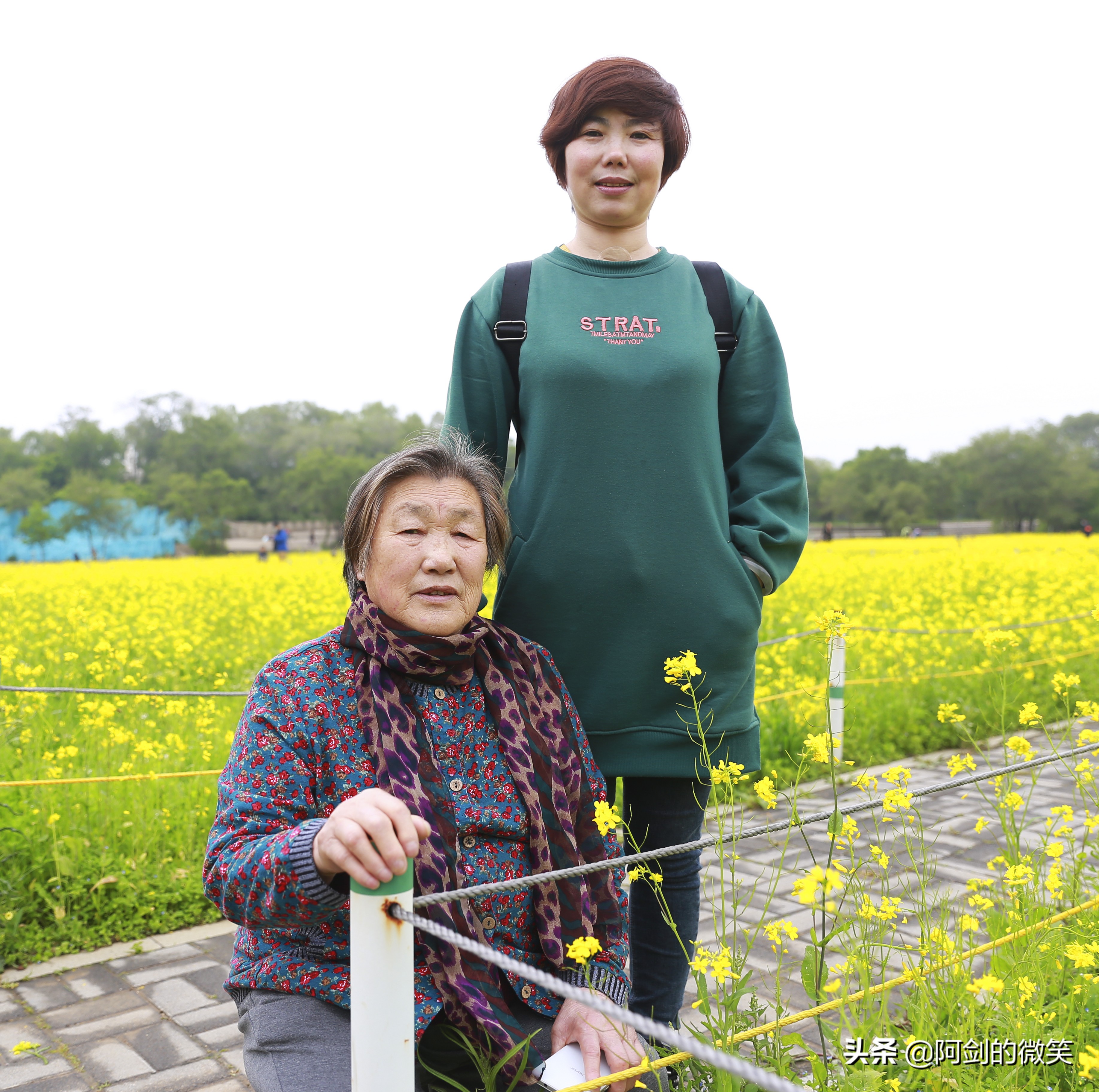 沈阳十一假期哪里有花海,沈阳玫瑰小镇温泉花海两日游