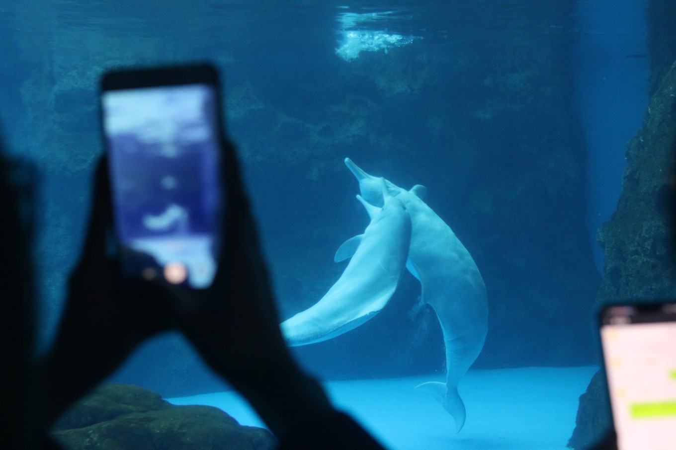 珠海长隆海洋王国攻略三天两夜,珠海长隆海洋王国必玩十大项目