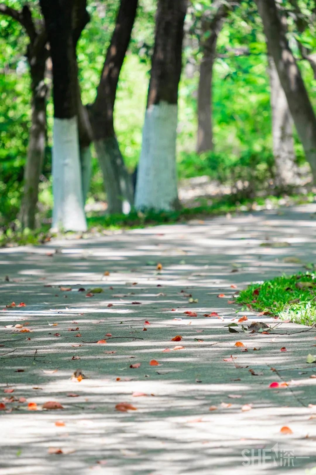 深圳这27个热门游玩地，坐2号线全都能到