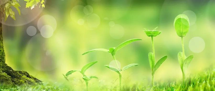 水产养殖em菌的正确使用方法,水产养殖em菌与乳酸菌有什么区别