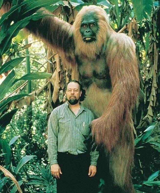 地球最大动物蓝鲸两百吨体重,地球最大的动物是什么动物