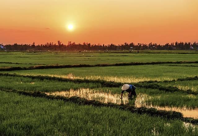 越南经济和我国哪个城市相当,中国和越南经济发展状况