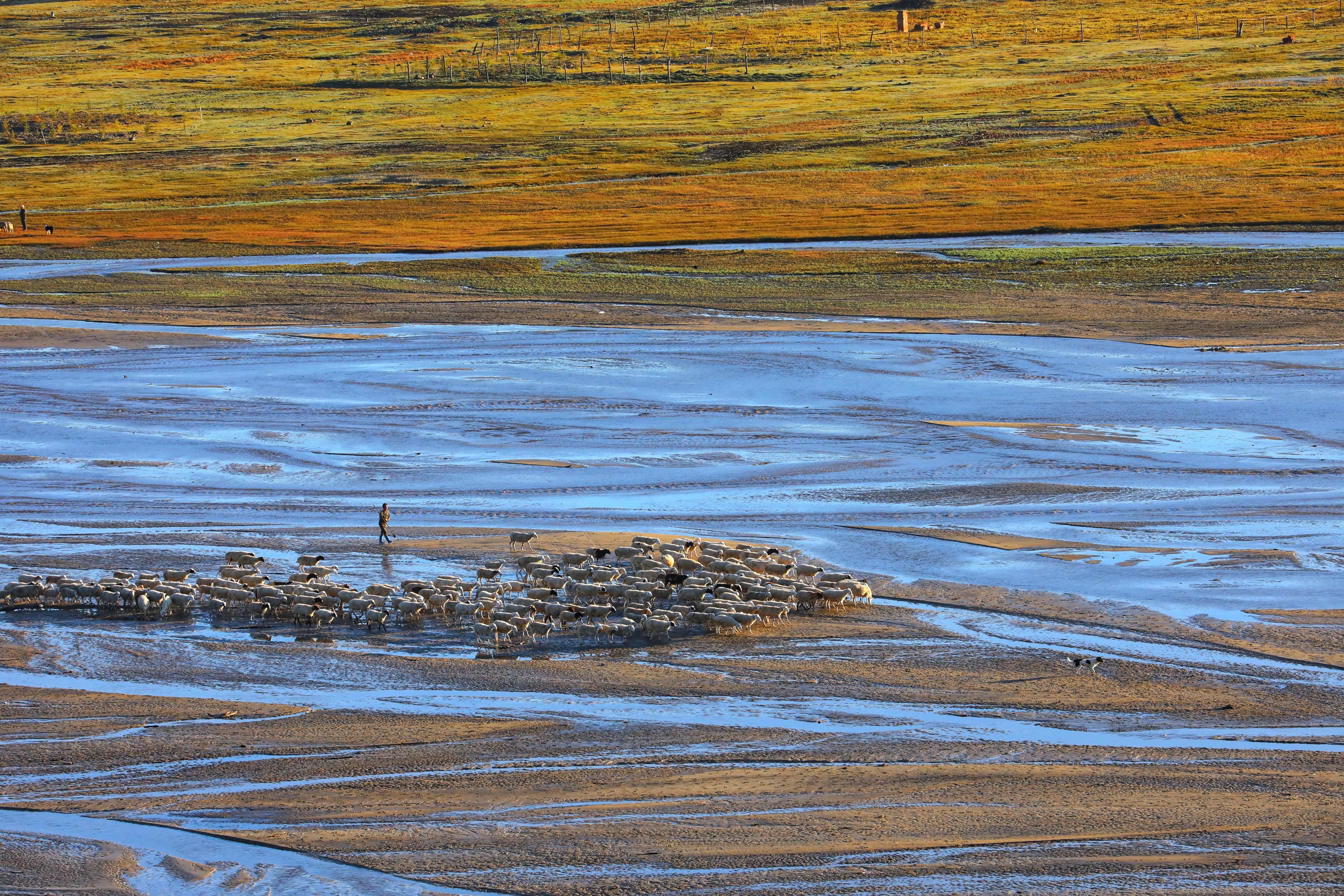 坝上秋色草原,坝上草原游记作文