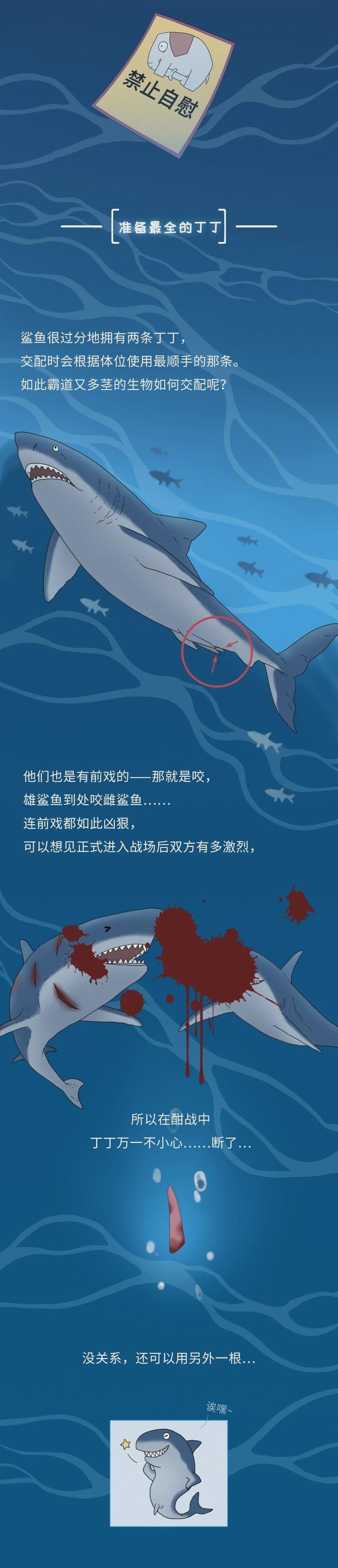 为什么同样是丁丁，差距却这么大？34cm竟然排垫底