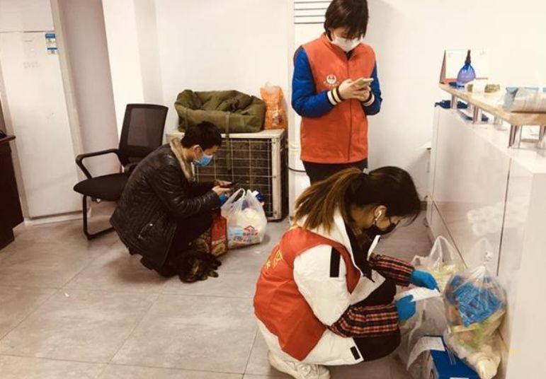 00后萌新,萌新也能打王者