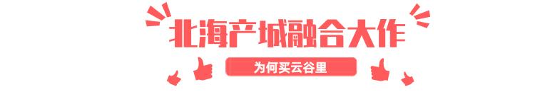 1对1咨询服务,1对1专属服务