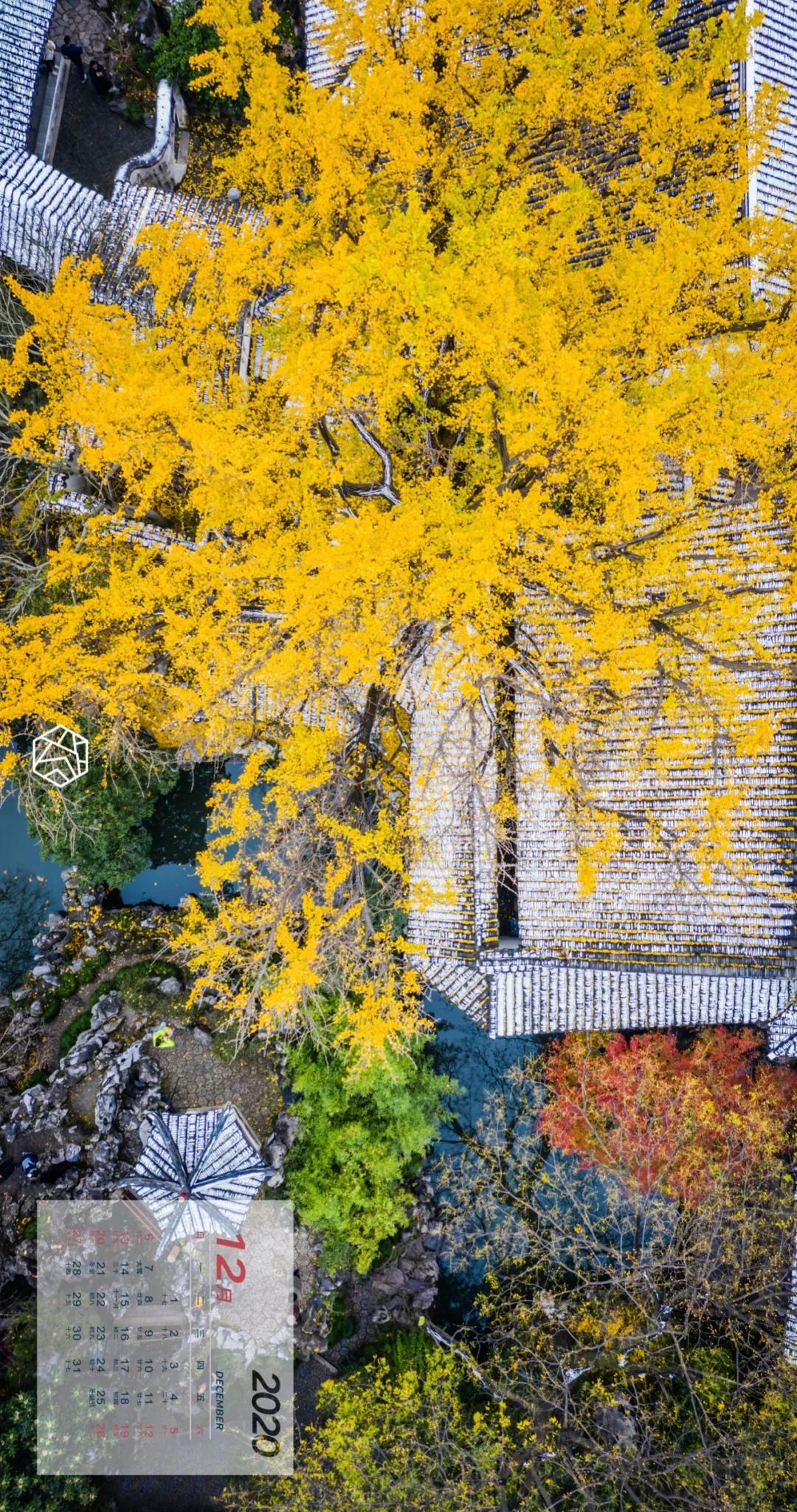 新年横屏壁纸2023超高清壁纸,苏州壁纸横屏