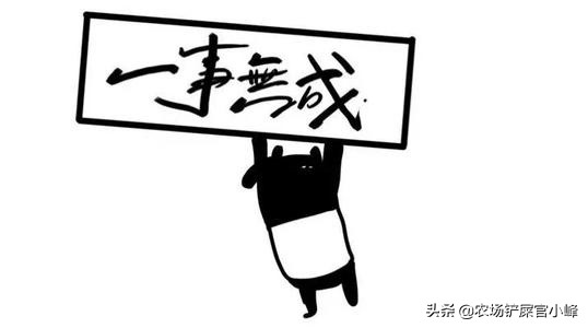 花生免费去壳利润在哪里,花生种植加工每亩收益多少