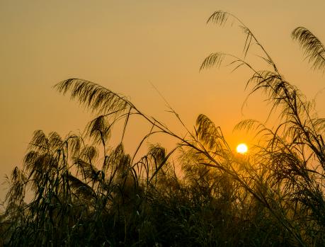 《丰乳肥臀》：鲁璇儿水性杨花，女儿们自由恋爱，结局却殊途同归