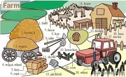 34张图让孩子记住英语中所有生活用词!老师惊呼,太值了