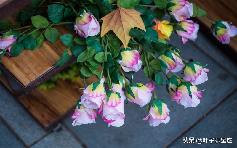 双子座心里永远藏着一个人,双子座需要陪伴吗