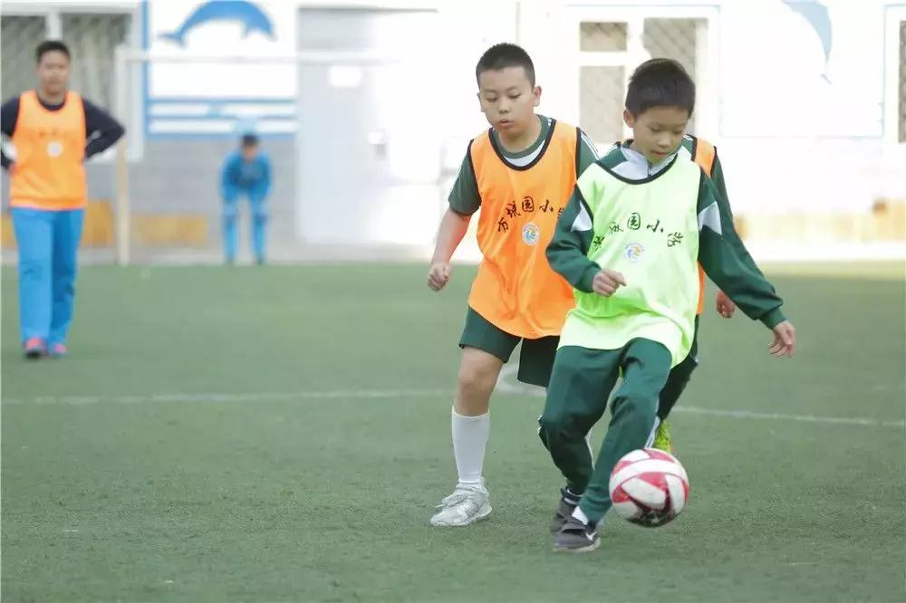 香港师生赴北京,香港师生来校交流参观