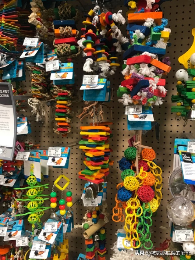 买了一对虎皮鹦鹉加零食鸟粮笼子结账1000块，是被商家坑了吗？