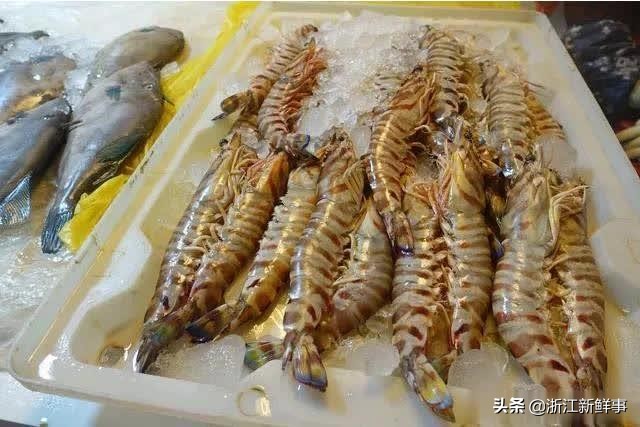 象山游玩住宿攻略自驾,桂林象山旅游攻略自驾