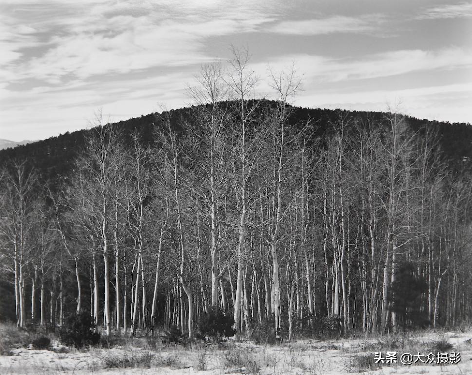 世界顶级摄影师人像摄影作品,100位摄影师推荐