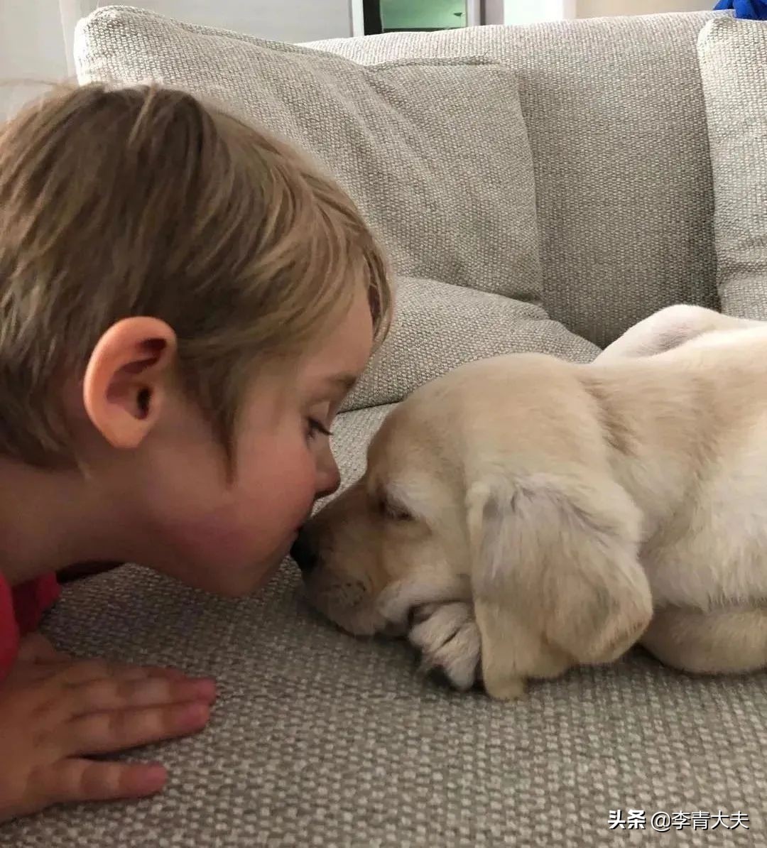 麦扣的家庭,麦扣的质感好物