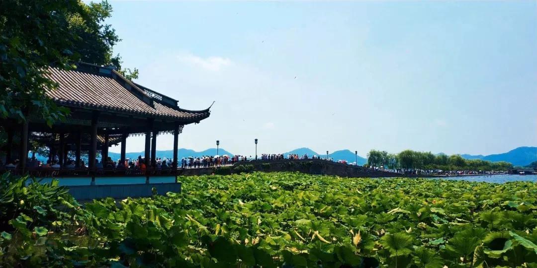 杭州西湖必游景点攻略大全图,杭州西湖新十景游玩顺序攻略
