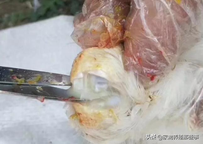 滑囊炎症用什么药有效,滑液囊反复发作怎么办