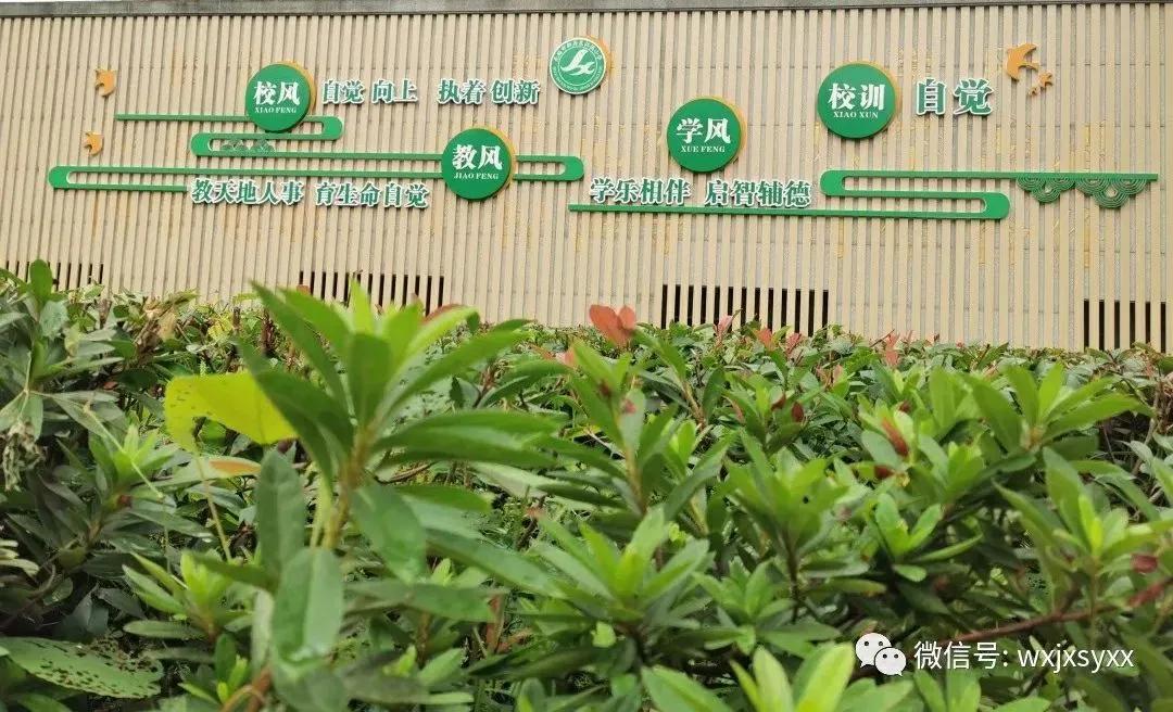 文明清风新吴有礼|江溪小学:倡导文明之风共践文明之行