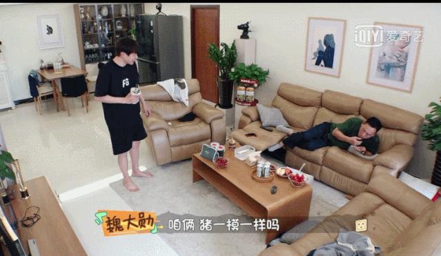 这些有趣的星爸星妈，比明星本人还好笑