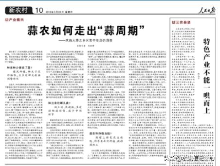 拼多多卖大蒜农产品,拼多多农业农村补贴