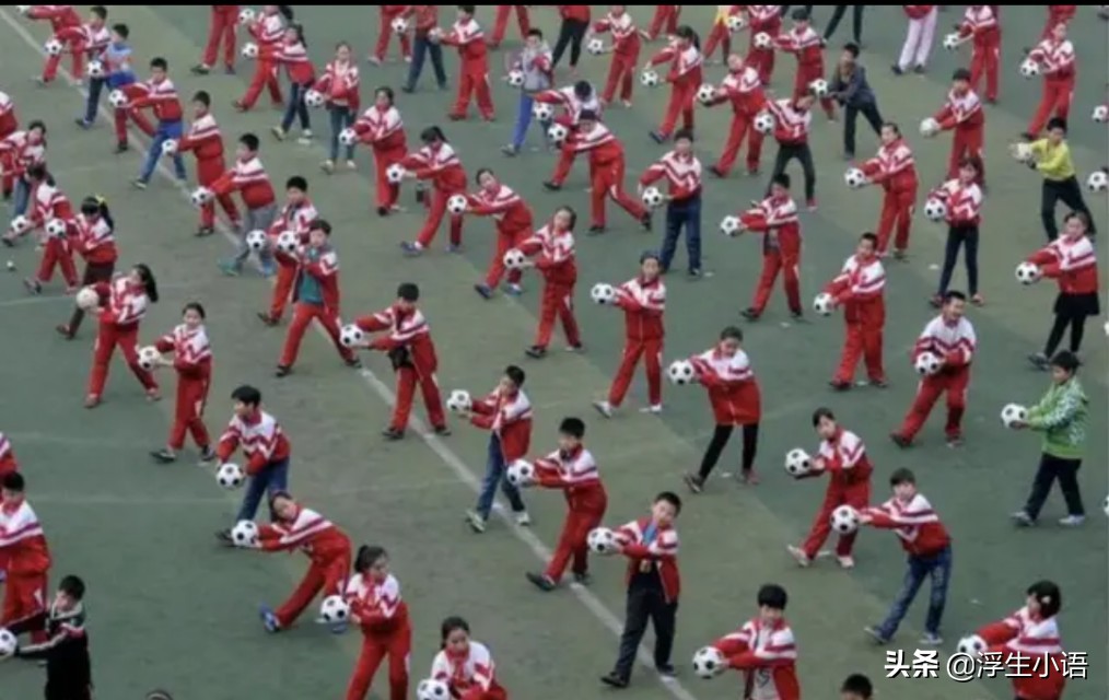 给中国足协陈主席一封信:不惜代价豪赌世界杯是急功近利舍本逐末