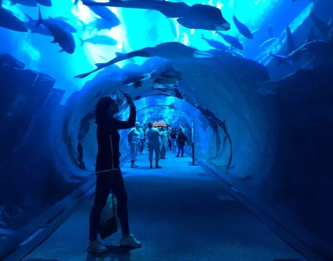 郭富城带方媛打卡的地方有多壕？刘宪华：我知道！