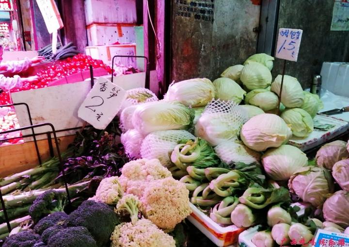 广西南宁青菜价格表,南宁现在的水果