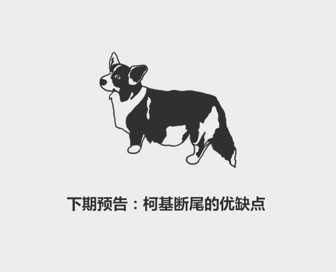 猫咪突然咳嗽几下就好了是怎么了,猫咪老咳嗽或打喷嚏那是什么原因