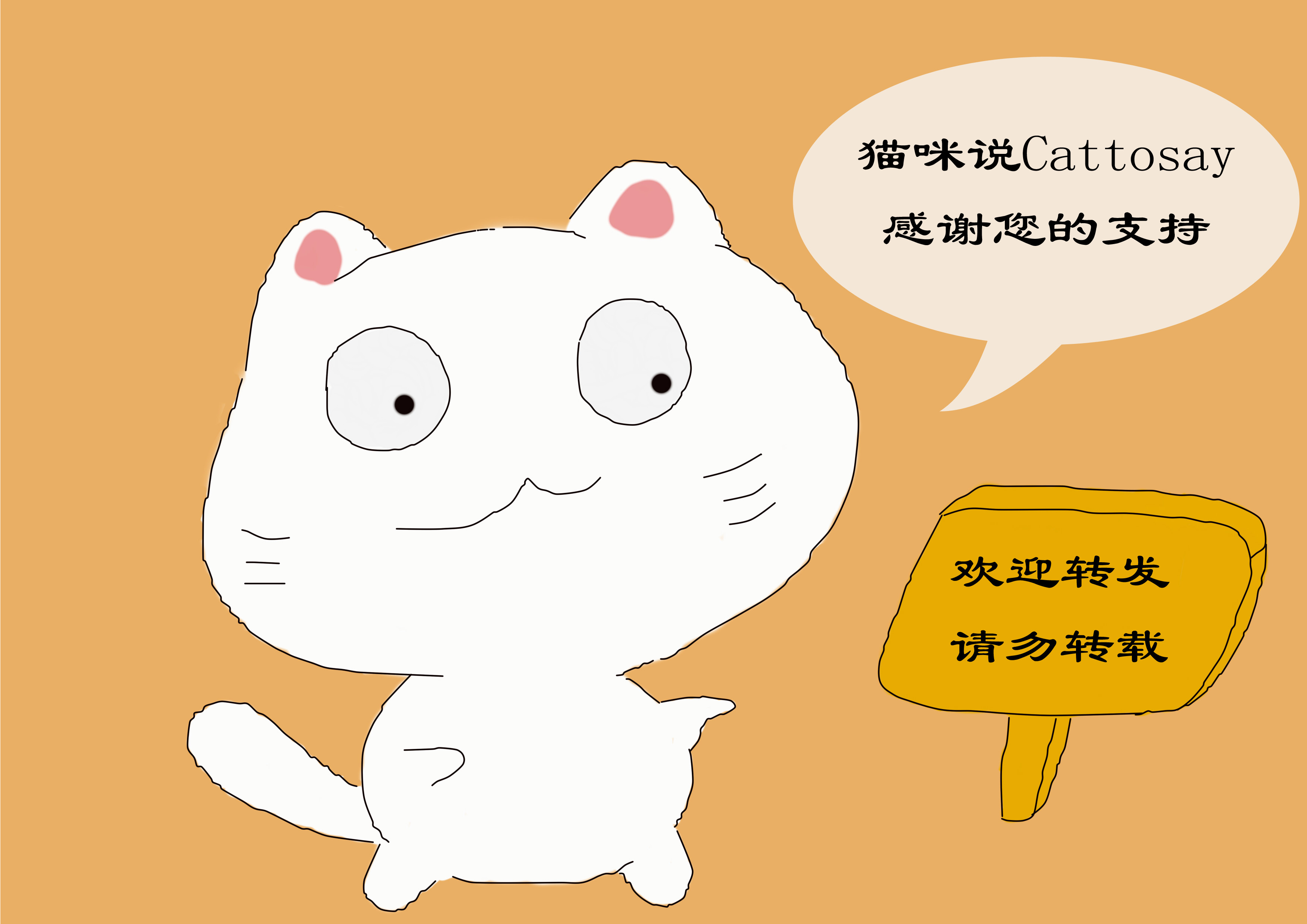 新任铲屎官必看的幼猫饲养指南,幼猫性格挑选