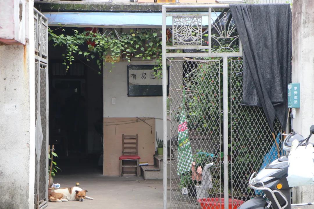 诸暨最土豪的村子在哪里,诸暨十大土豪村