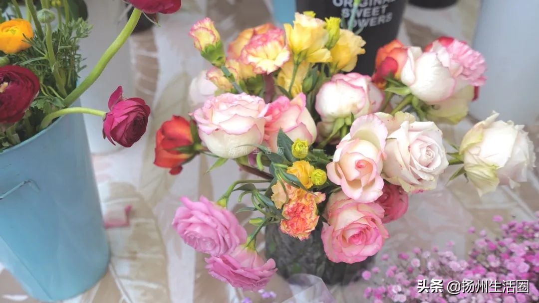 2元花盆批发,2元左右的花盆