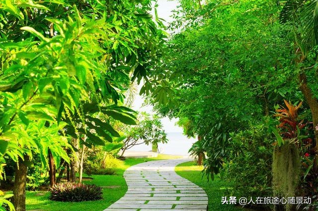 南京面积最大的公园，美不胜收却被游客忽略