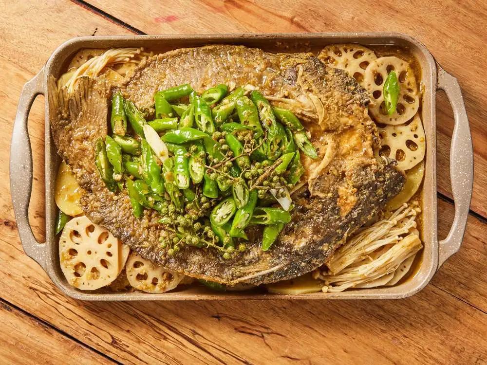 开片叉尾鮰鱼,叉尾鮰鱼科普