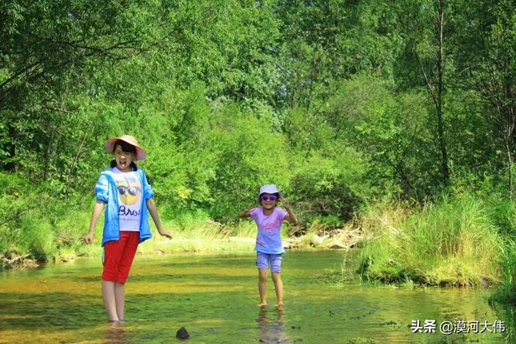 森林草原自驾游,森林亲子旅游攻略图片大全