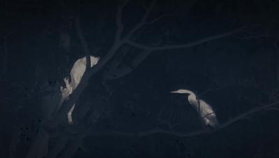 豆瓣netflix电影,bbc地球奇观纪录片