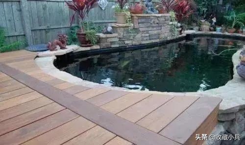 养锦鲤的十大注意事项,养锦鲤的10大忌