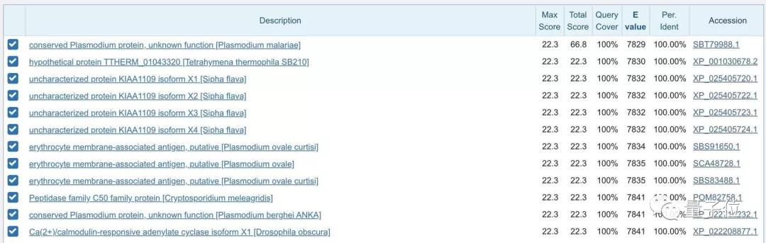新冠病毒是谣言吗,新冠病毒来自太空是怎么来的