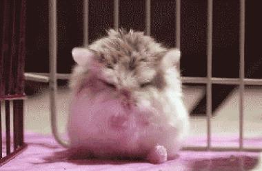 激光美容仪推荐,家用激光美容仪测评