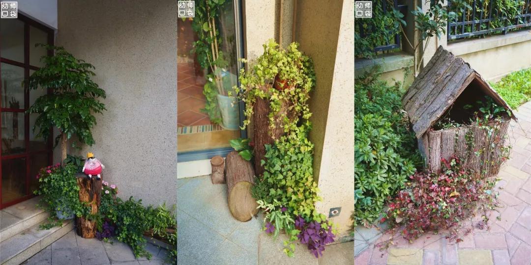 这里有最好的自然、最野的运动、最幸福的老师和孩子丨走进幼儿园