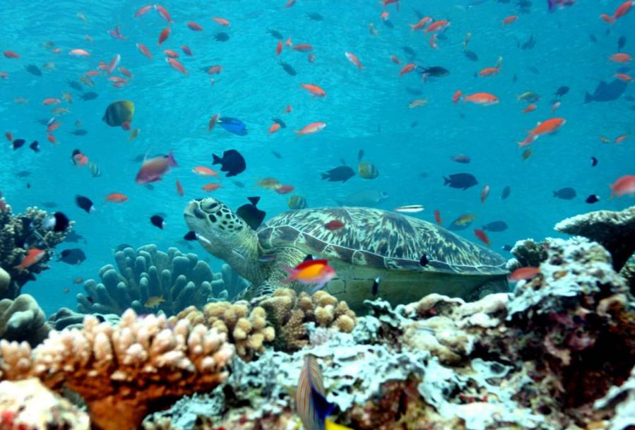 快问快答常识性问题,快问快答常识类100个问题