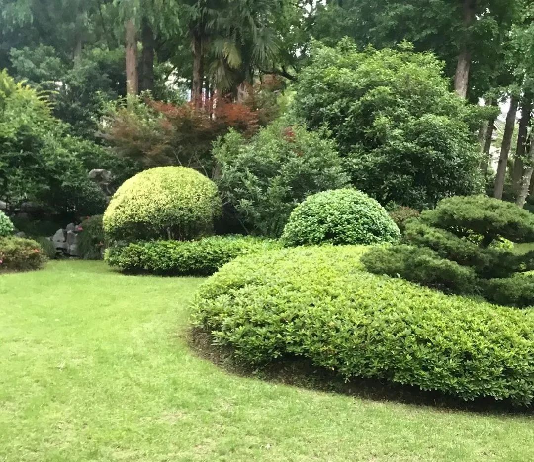 铺陈的意义是什么,铺陈的作用及表达效果