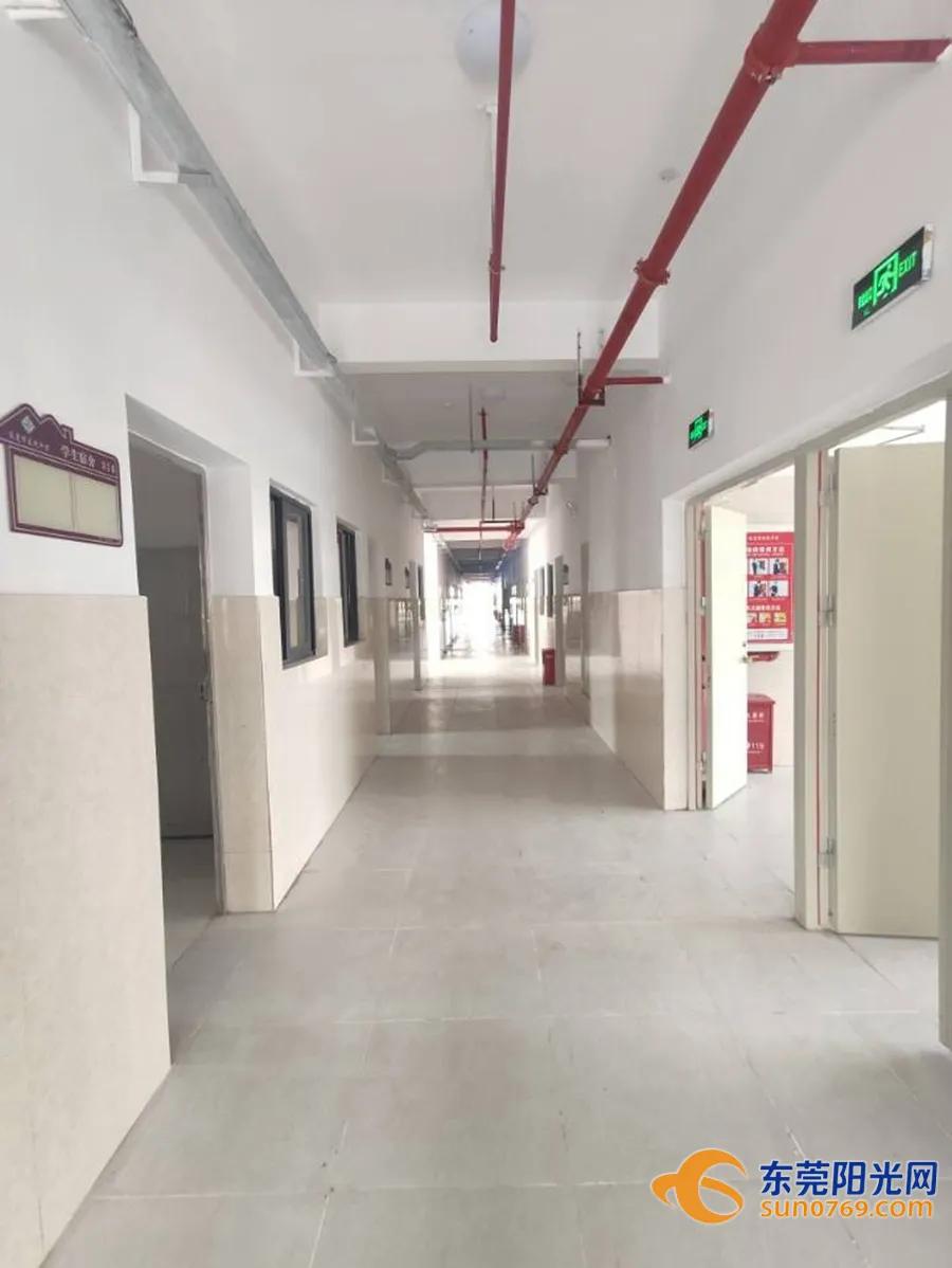 东莞这两年新增的公立学校,东莞市新增公办学校分布在哪里