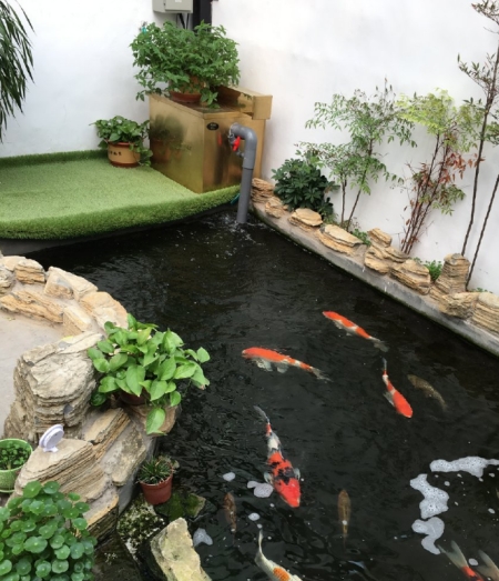 鱼百滋酸菜鱼即墨团购,鱼百科app